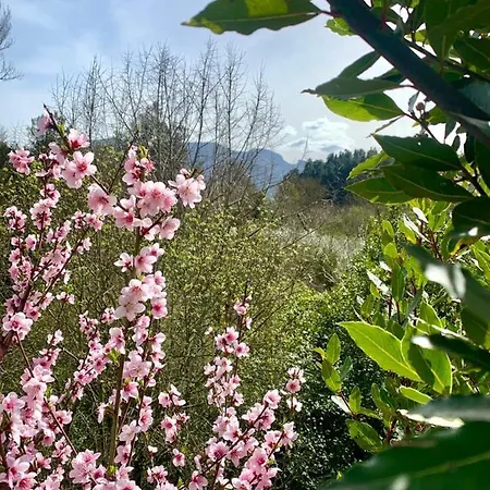 Casa Hijuela Holiday home *