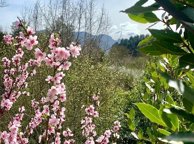 Casa Hijuela Дом отдыха *